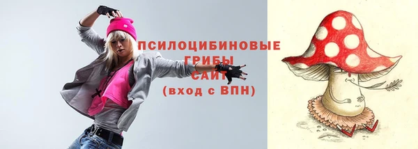 дмт Зерноград
