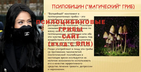 дживик Зеленодольск