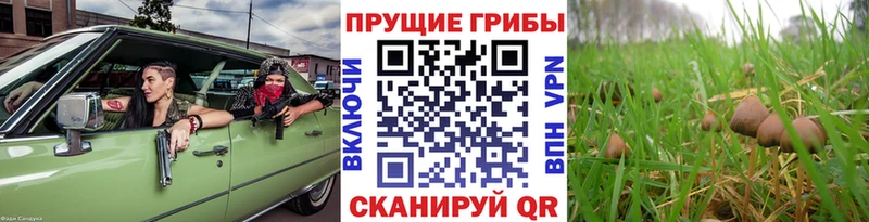 Купить закладки  Семикаракорск  Галлюциногенные грибы MAGIC MUSHROOMS 